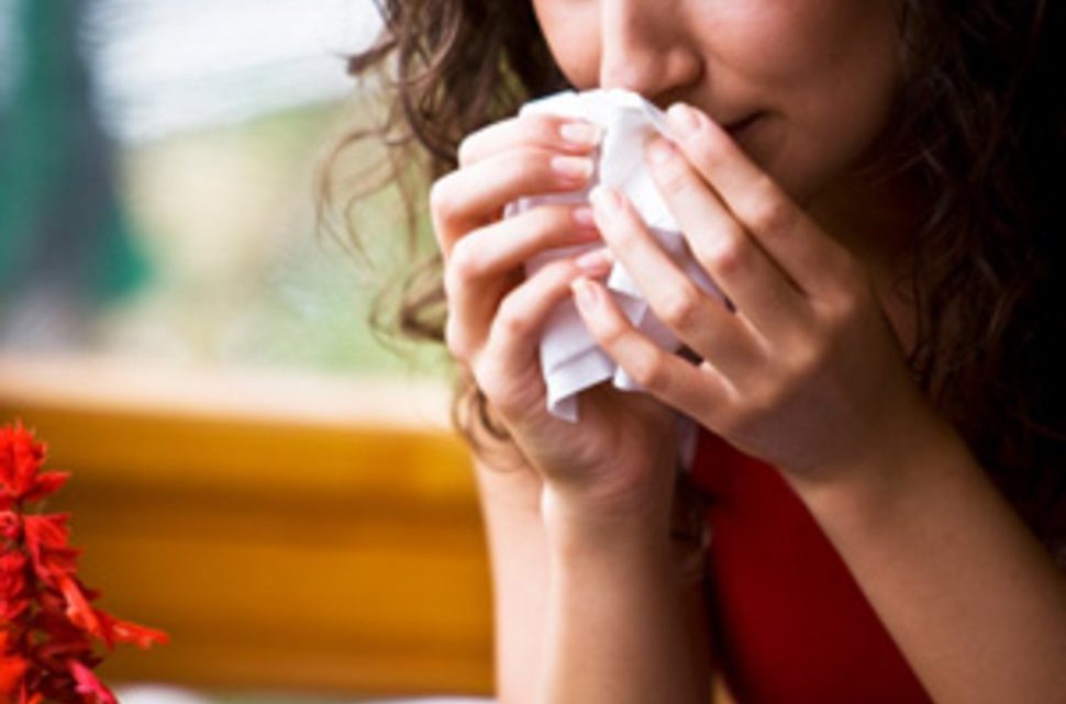 What Are Common Indoor Allergens? What Are Common Indoor Allergens?